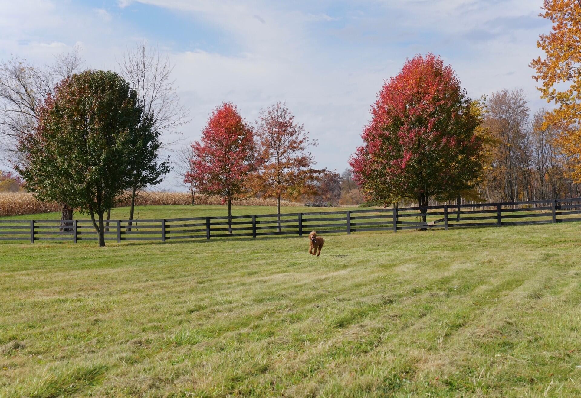 4056 Courter Road SW