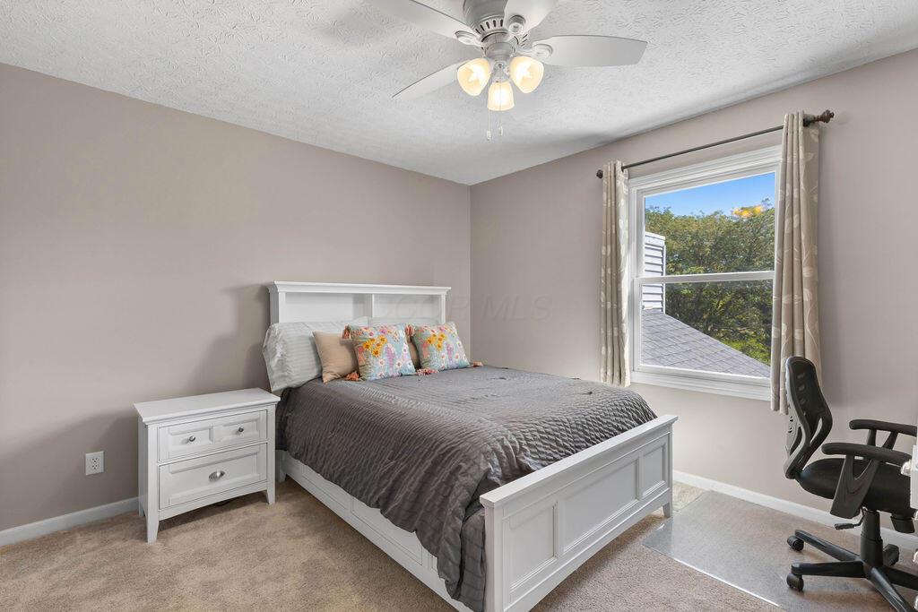 6233 Wynford Drive