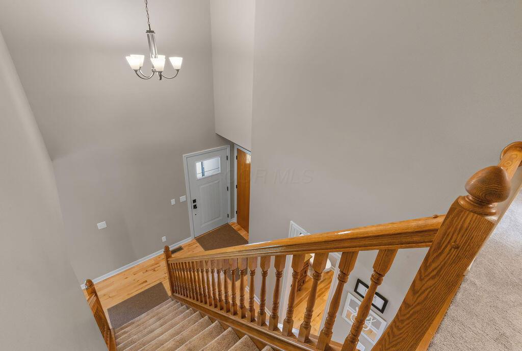6233 Wynford Drive