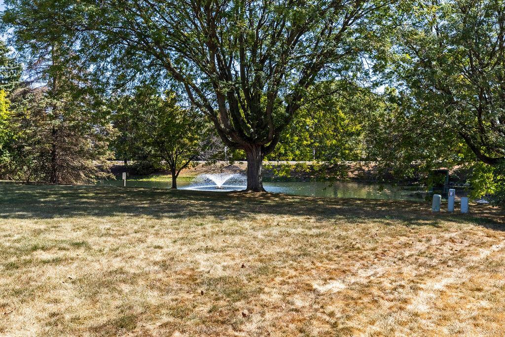 6233 Wynford Drive