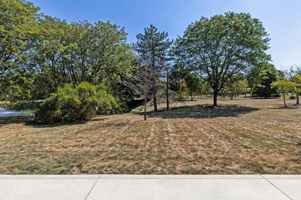 6233 Wynford Drive