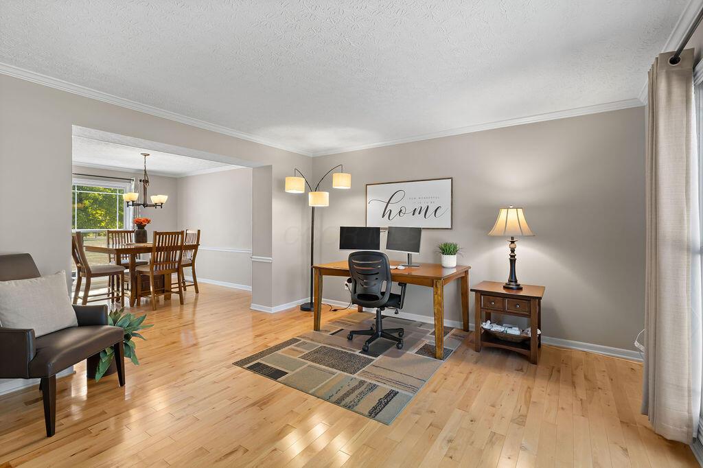 6233 Wynford Drive
