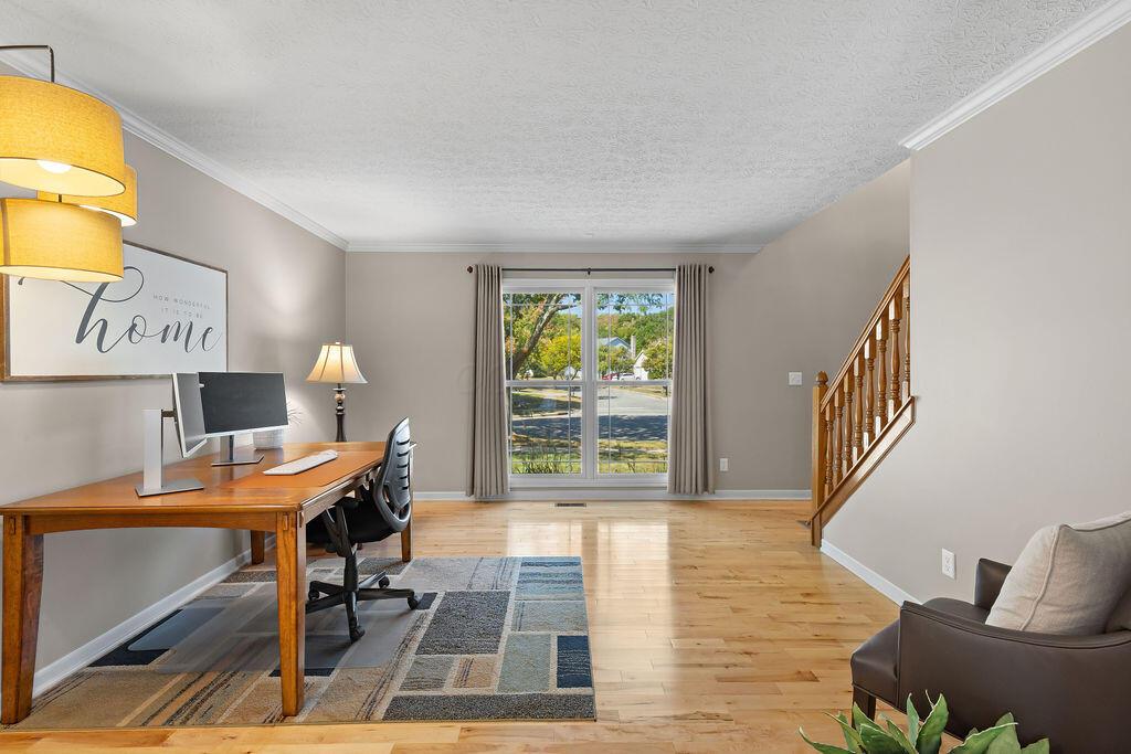 6233 Wynford Drive
