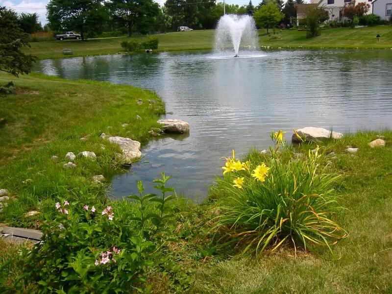 5701 Forest Grove Avenue