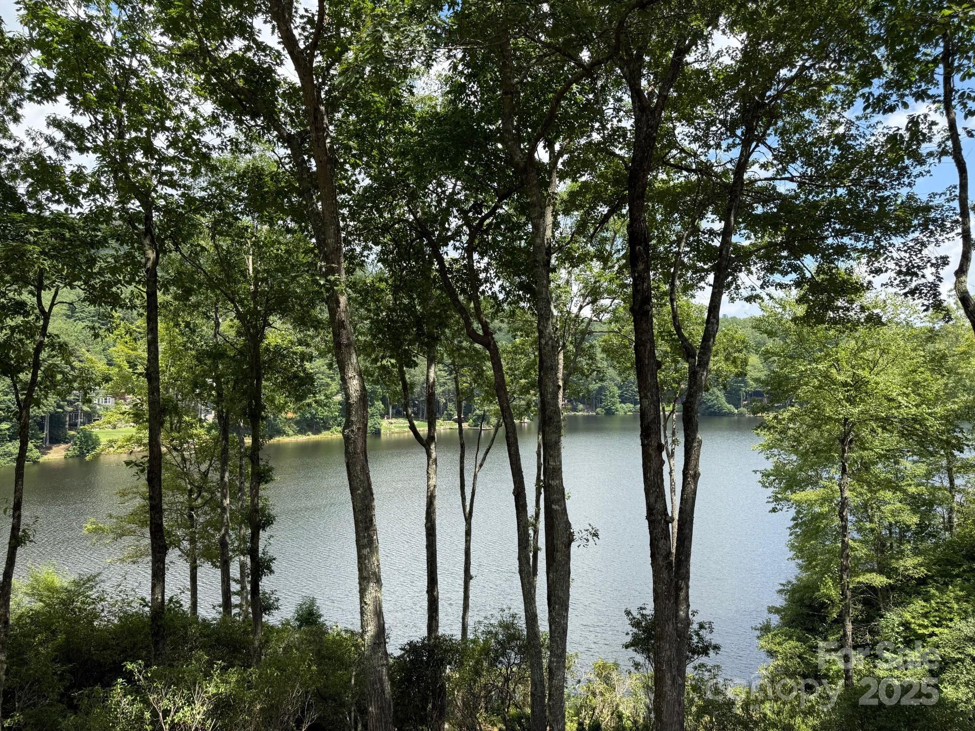 95 Cardinal Trace