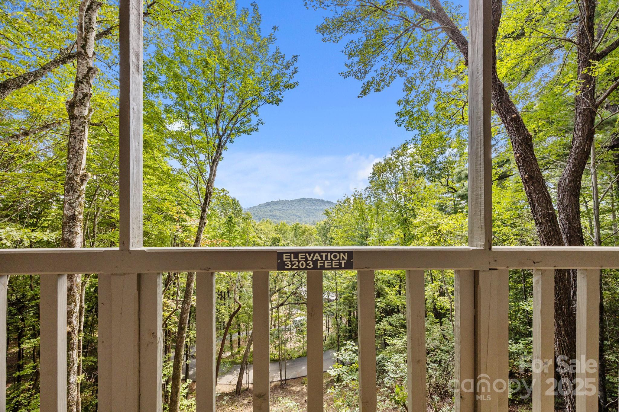 294 Club Colony Lane