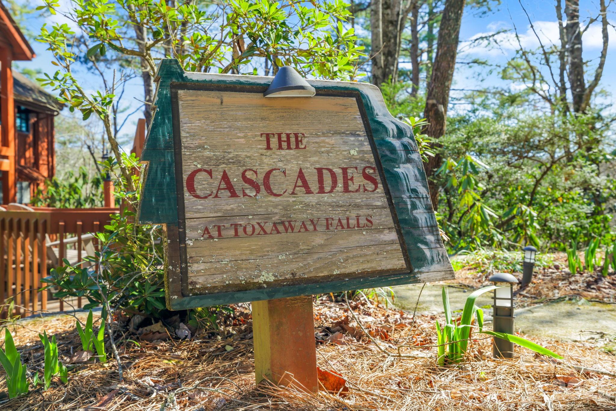 221 Toxaway Falls Drive Unit: 1