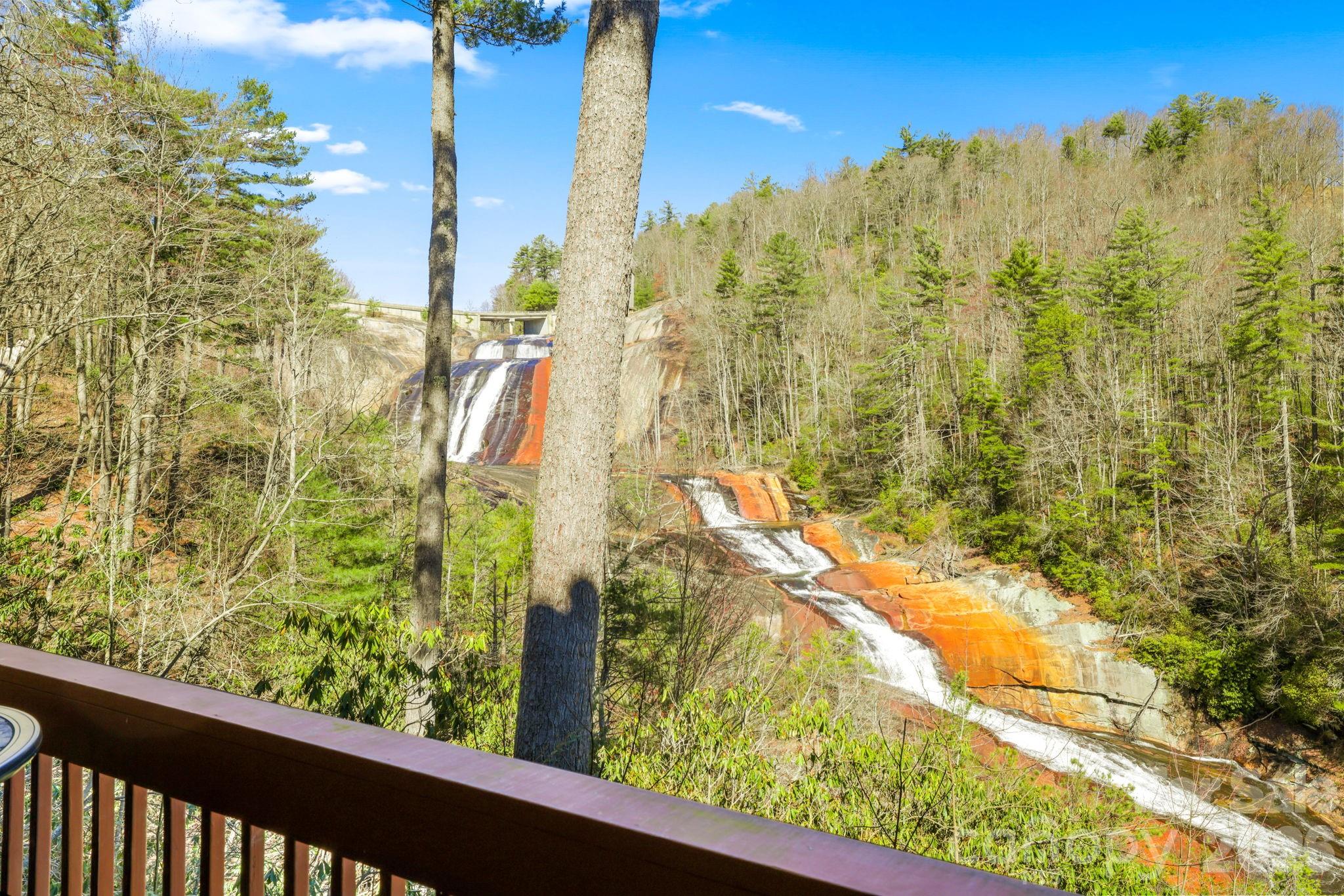 221 Toxaway Falls Drive Unit: 1