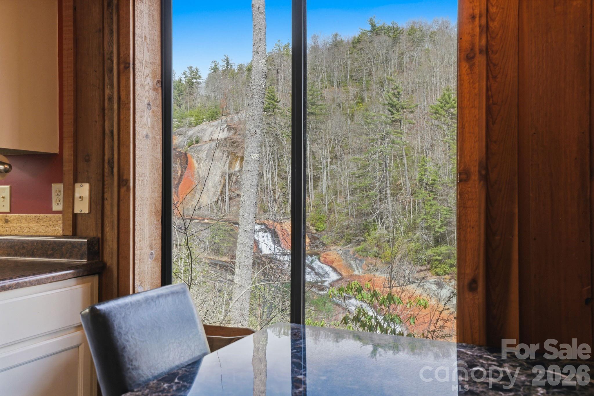 221 Toxaway Falls Drive Unit: 1