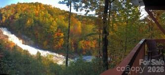 221 Toxaway Falls Drive Unit: 1