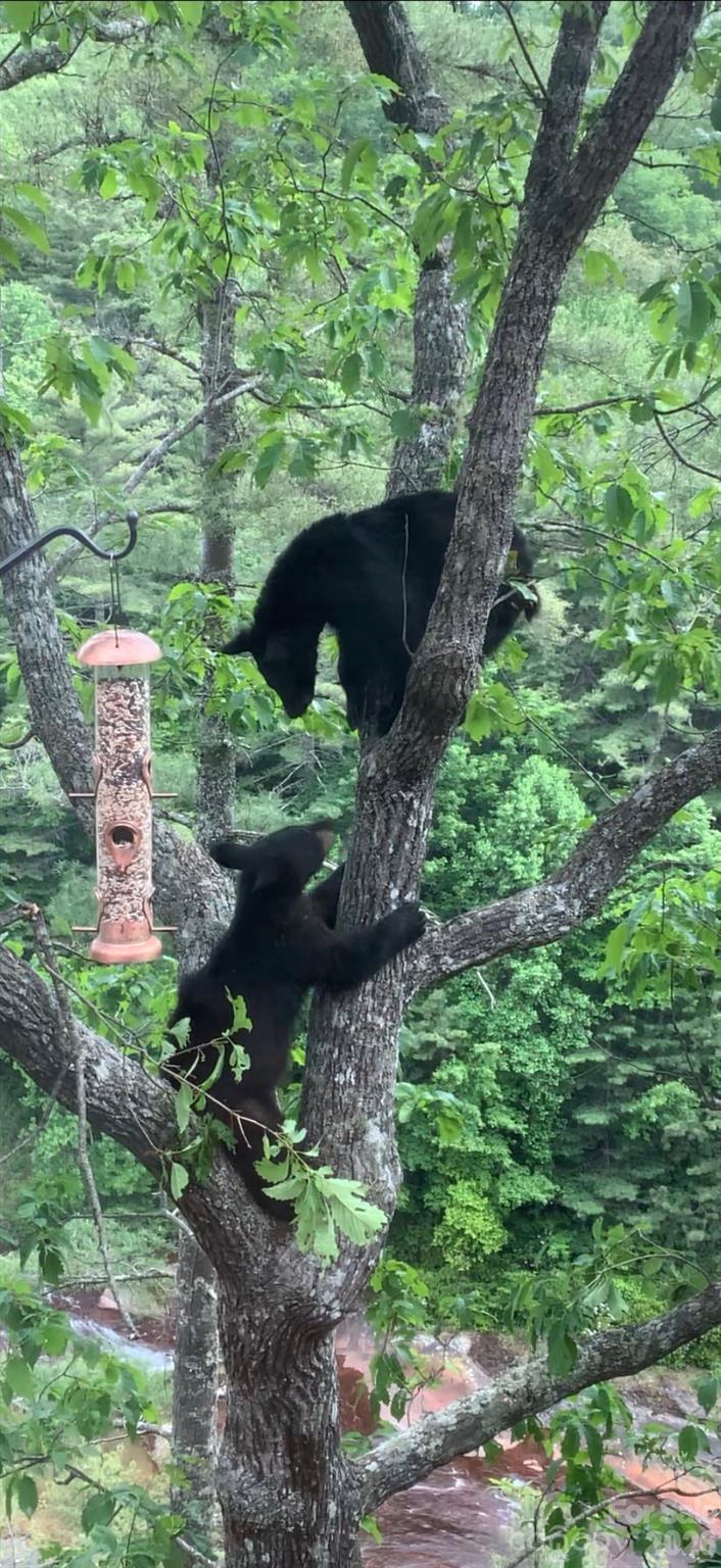 221 Toxaway Falls Drive Unit: 1