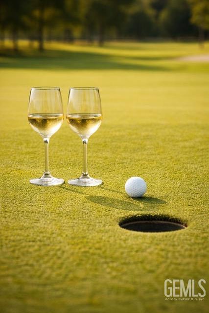 3019 Violet Rose Court