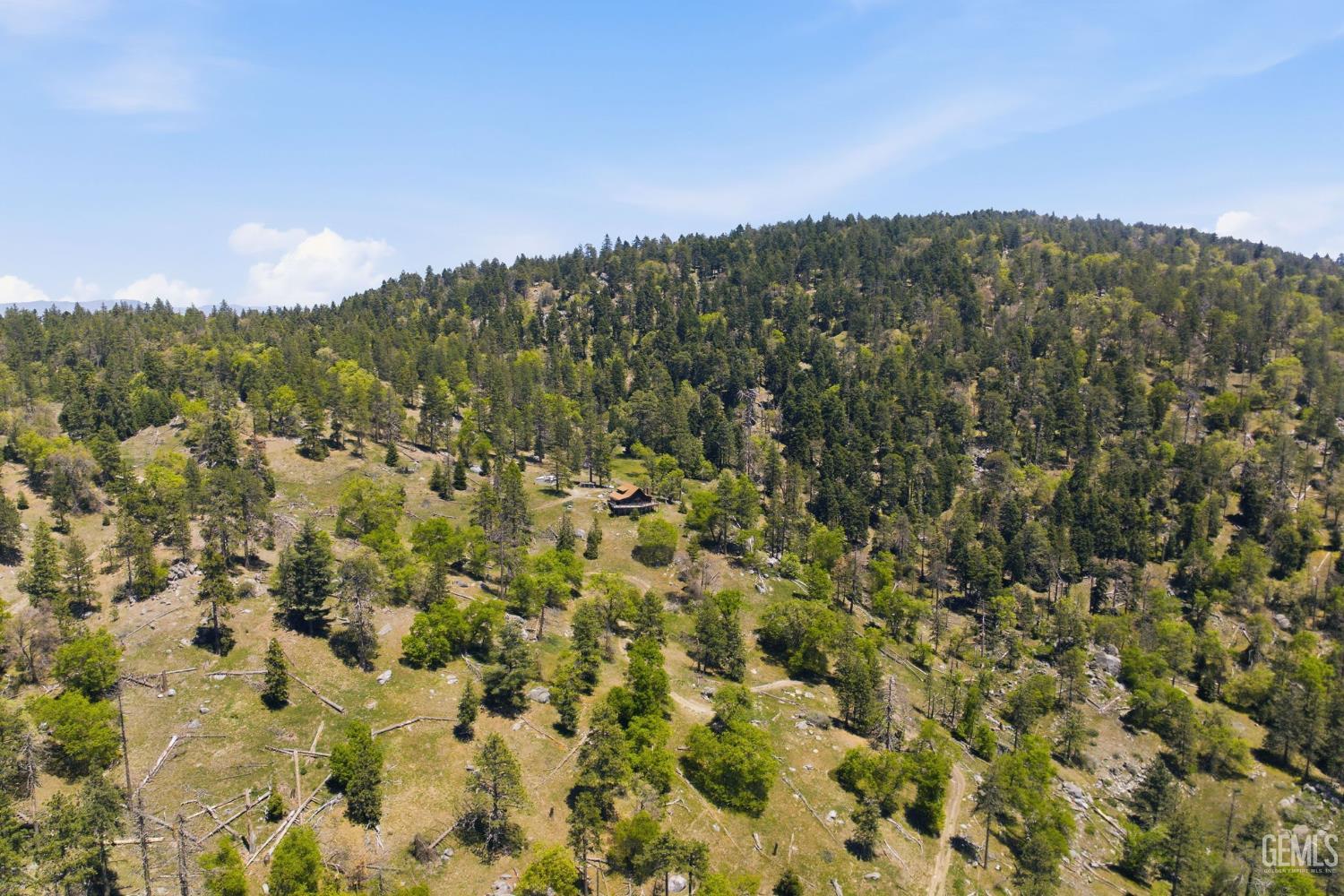 26660 Cedar Creek Court