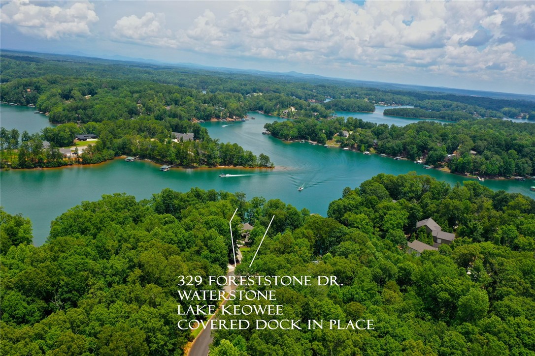 329 Foreststone Drive