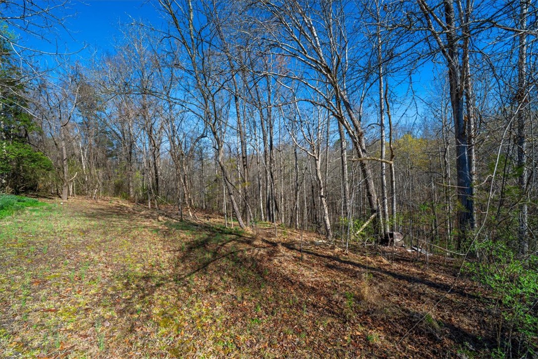 453 Deaton Road