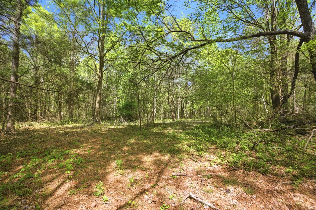 199 Williams Farm Road