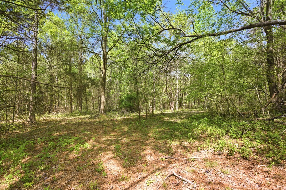 199 Williams Farm Road