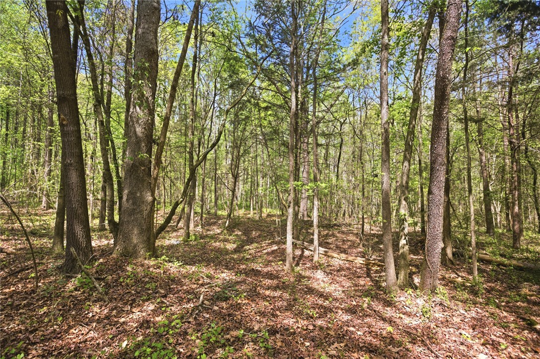 199 Williams Farm Road