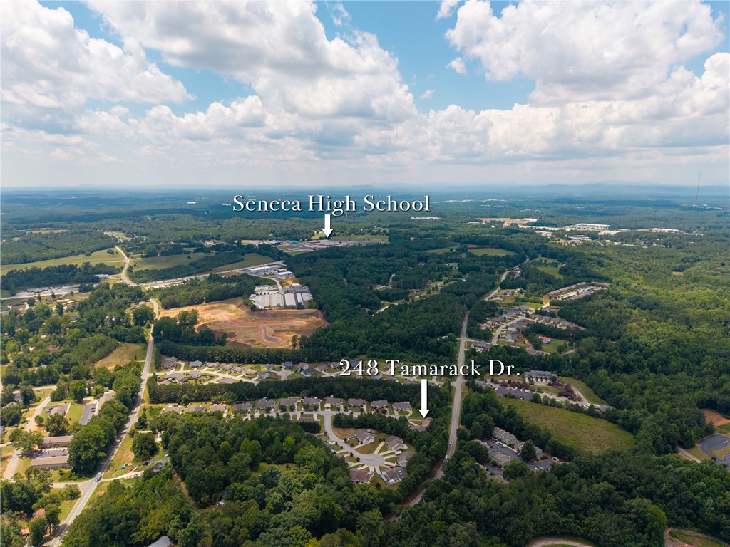 248 Tamarack Drive