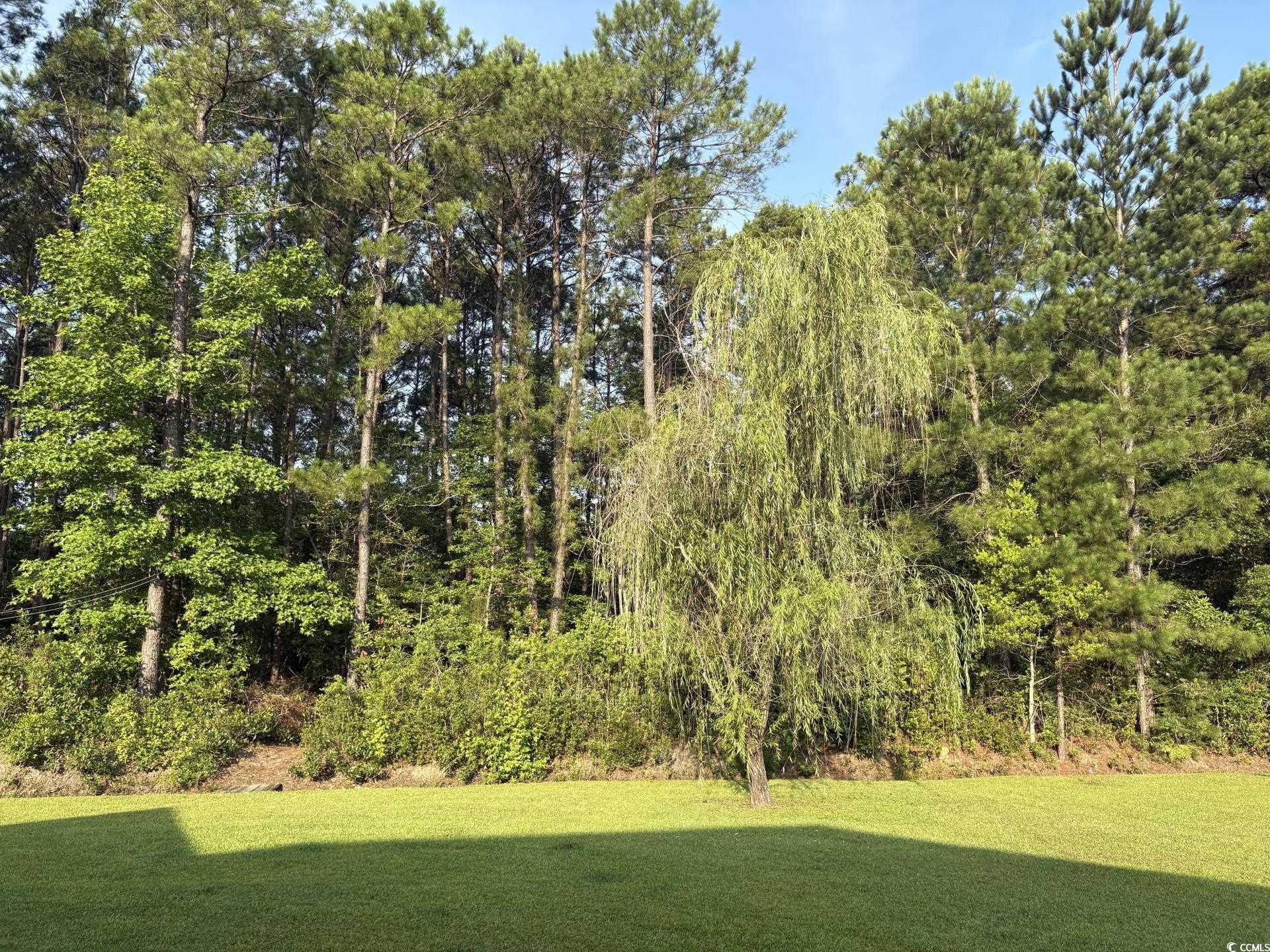 160 Winningham Ln.