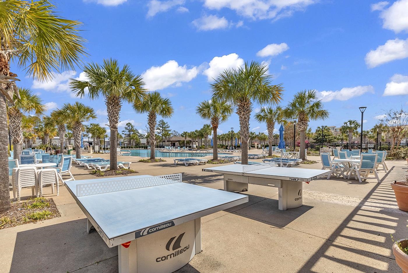 3344 Pampas Dr. Unit: 3344