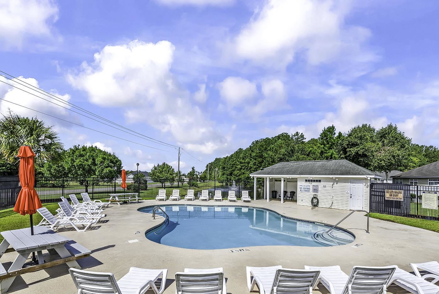 117 Black Bear Rd.