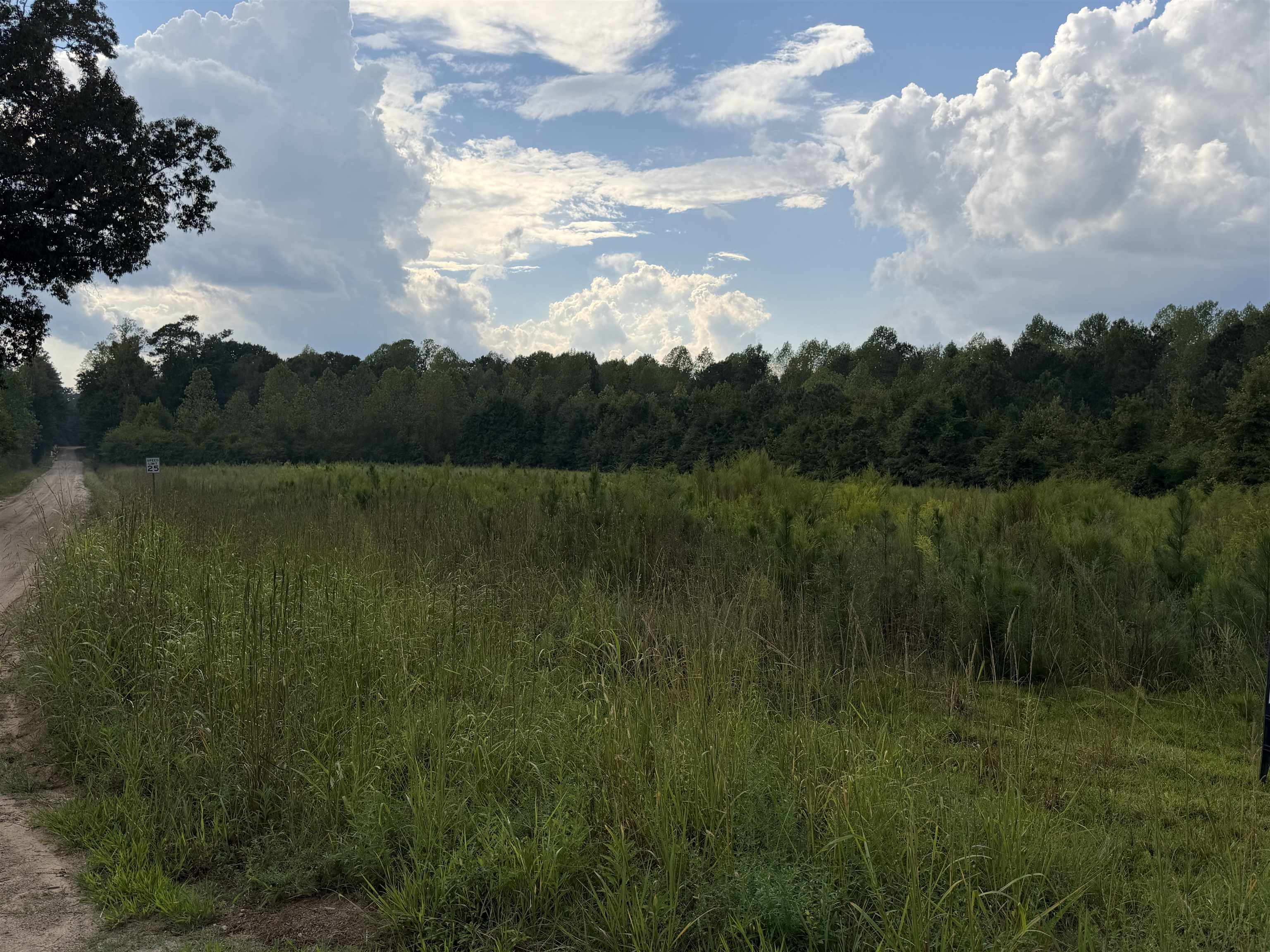 TBD Womack Rd.