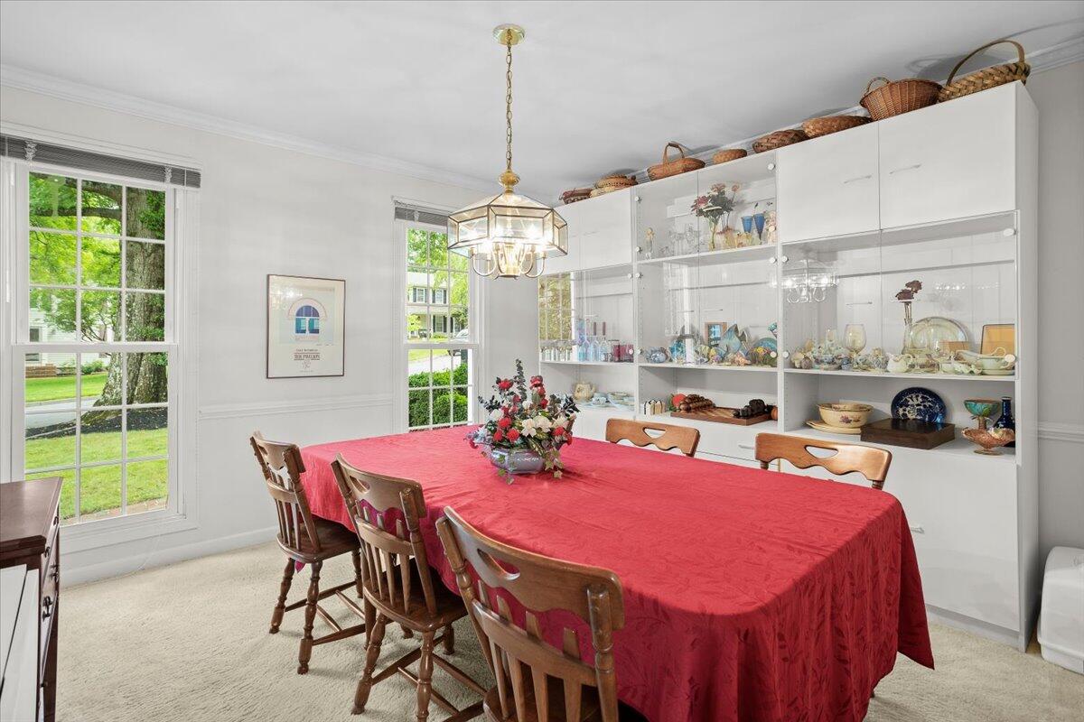 4131 Snowbird CIR