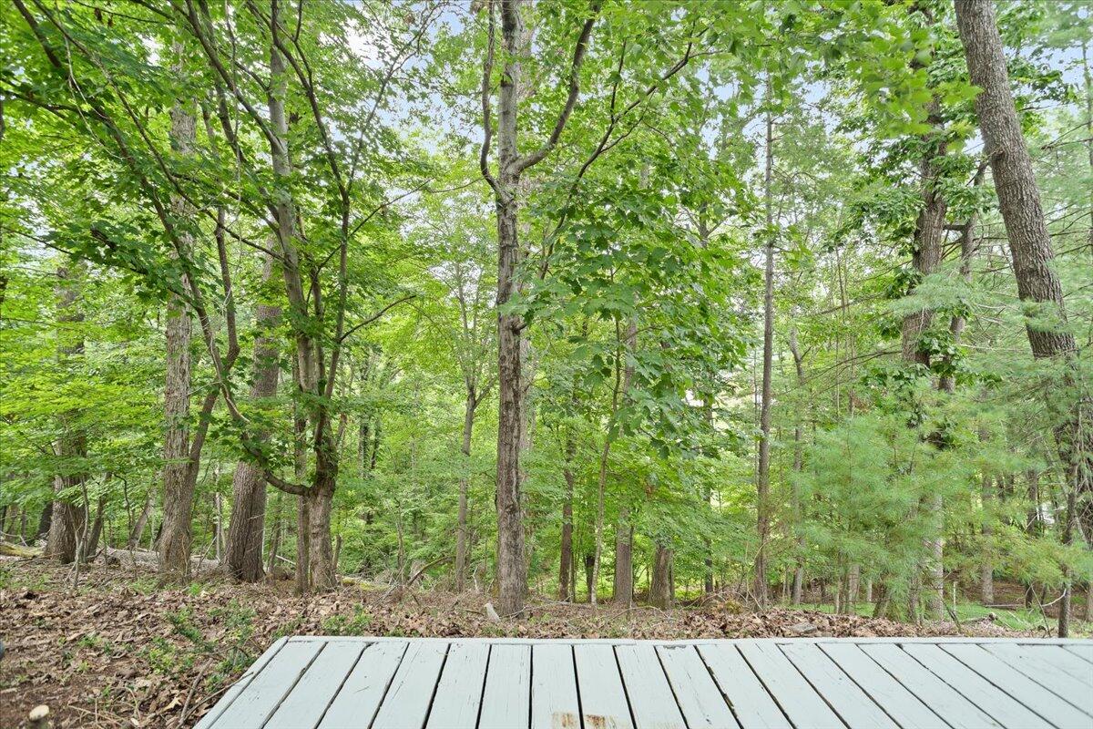 4131 Snowbird CIR