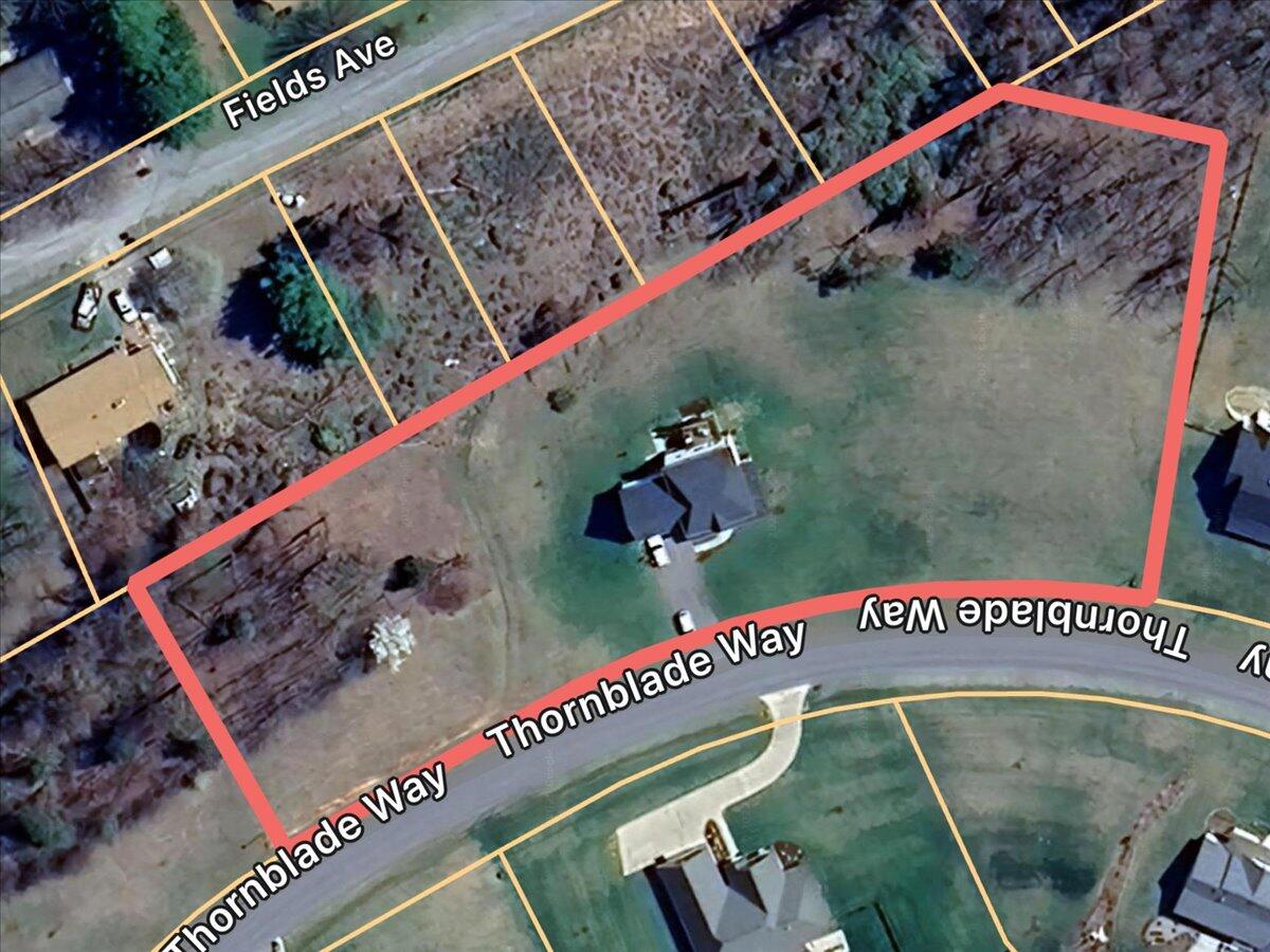250 Thornblade WAY