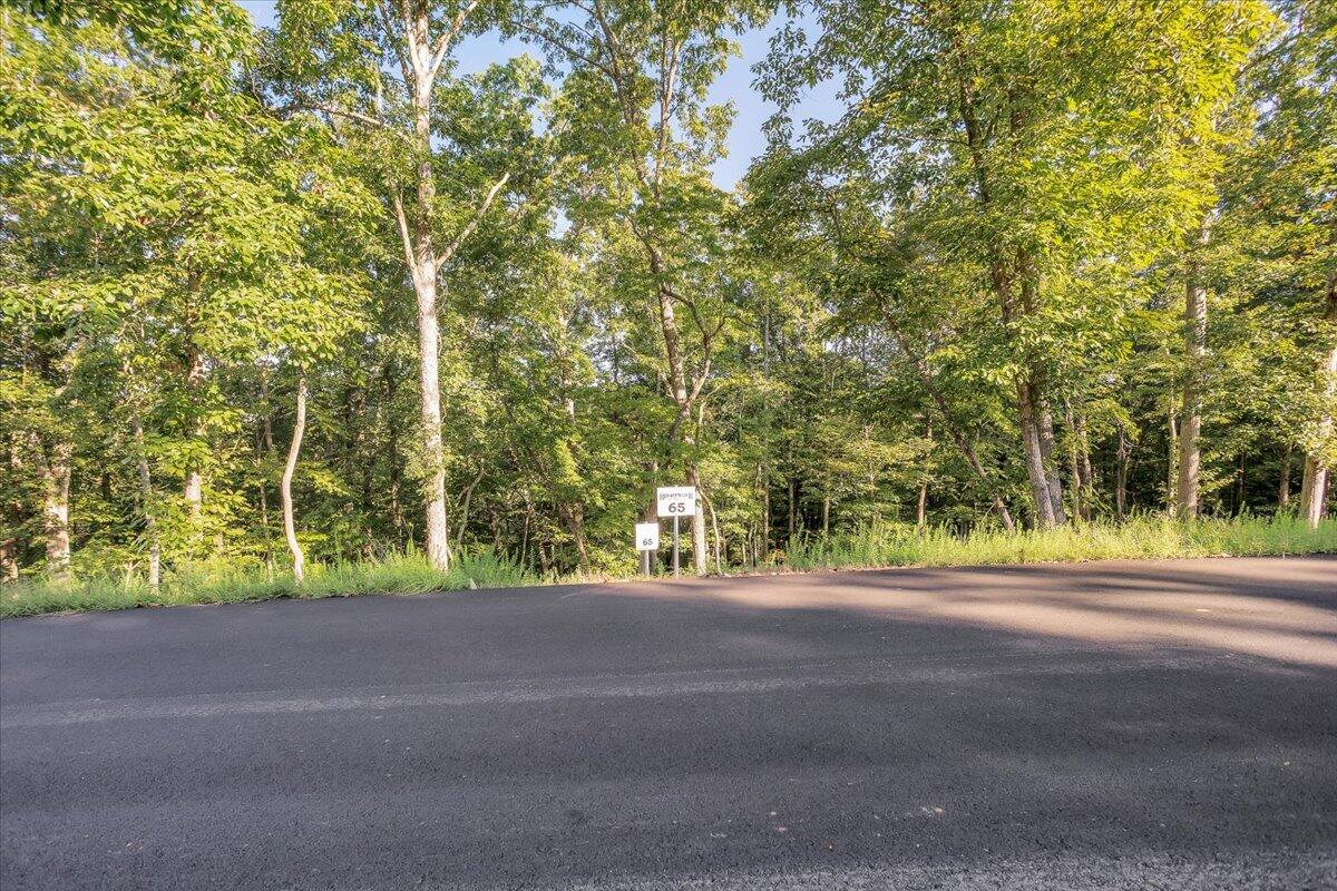 Lot 65 Ella Maria CT