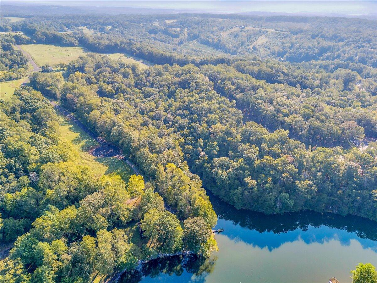 Lot 65 Ella Maria CT