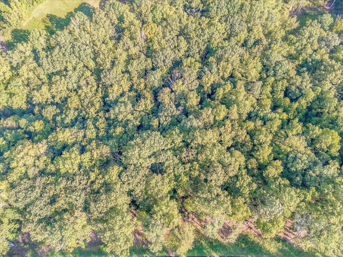 Lot 65 Ella Maria CT