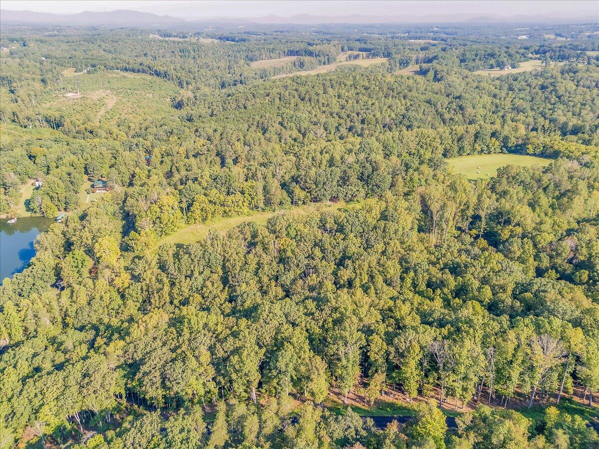 Lot 65 Ella Maria CT