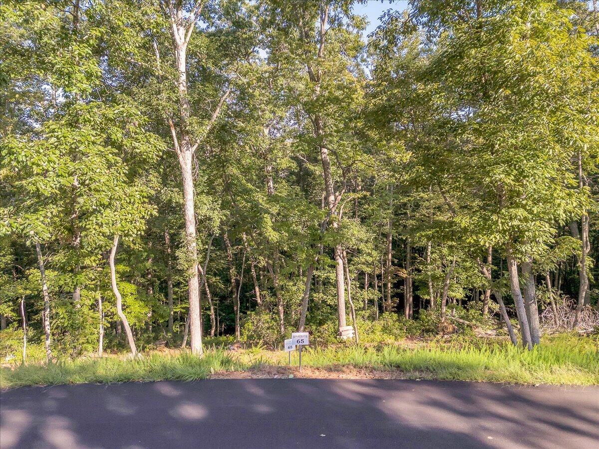 Lot 65 Ella Maria CT