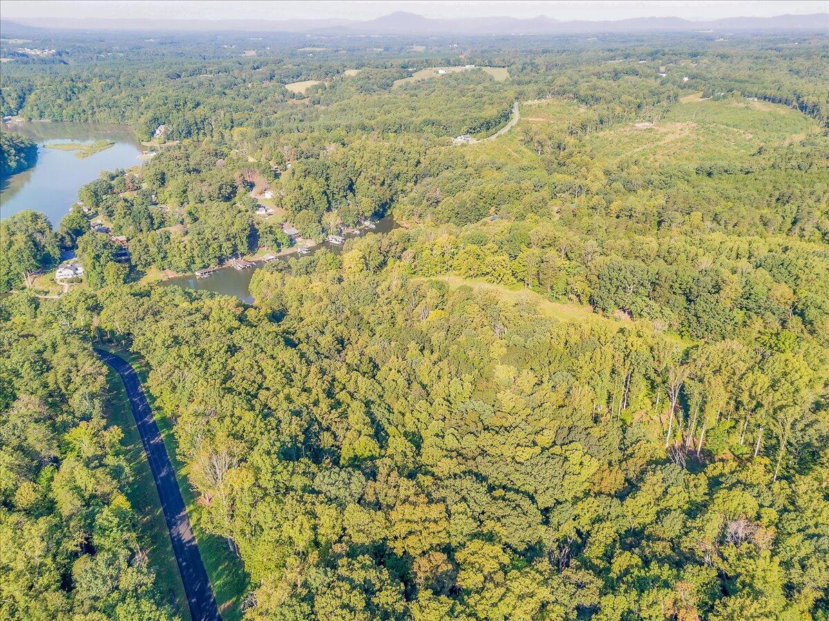 Lot 65 Ella Maria CT