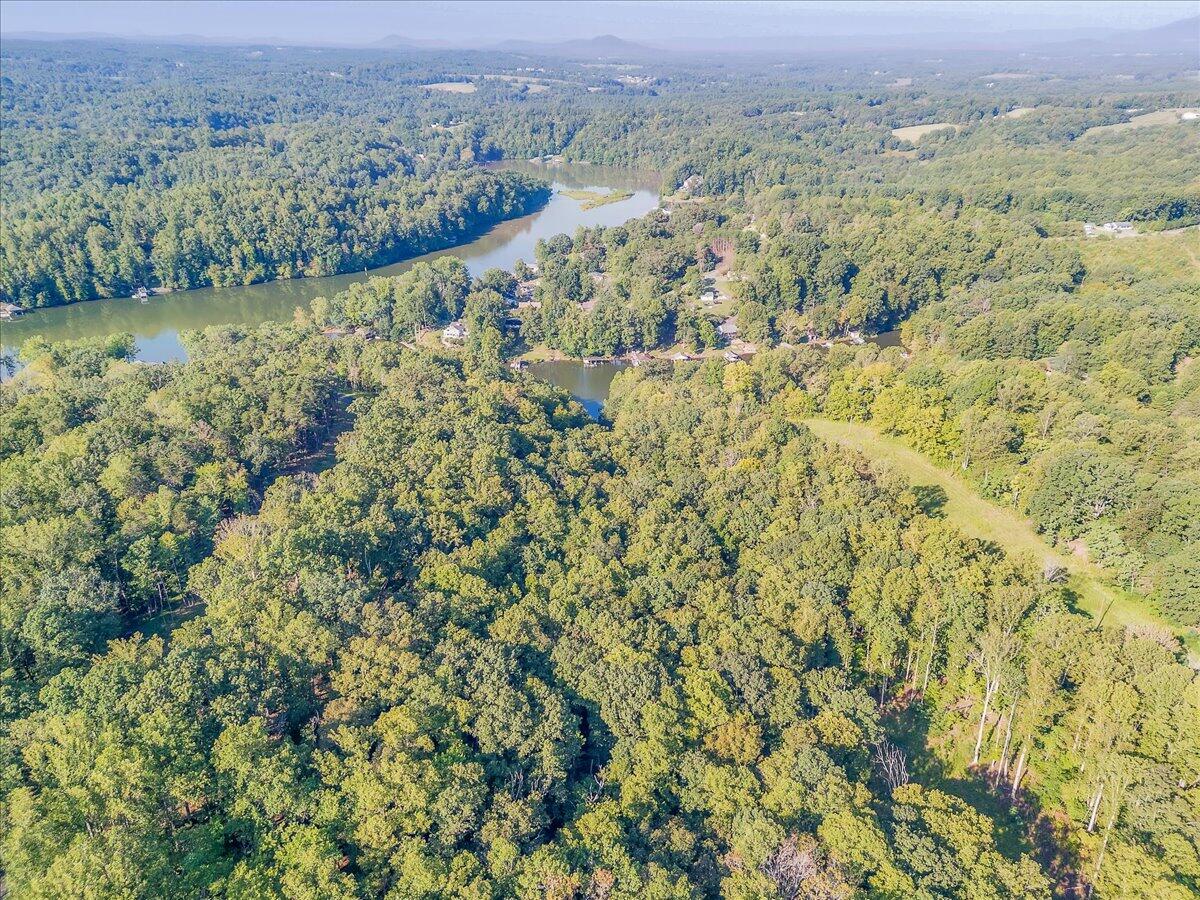 Lot 65 Ella Maria CT