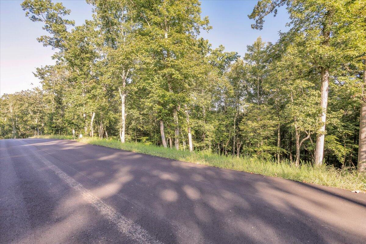 Lot 65 Ella Maria CT