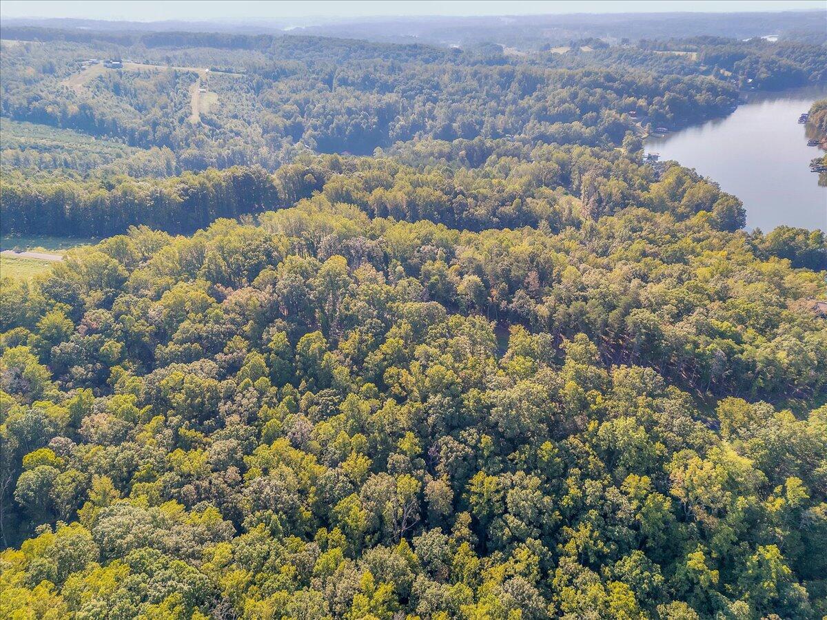 Lot 65 Ella Maria CT