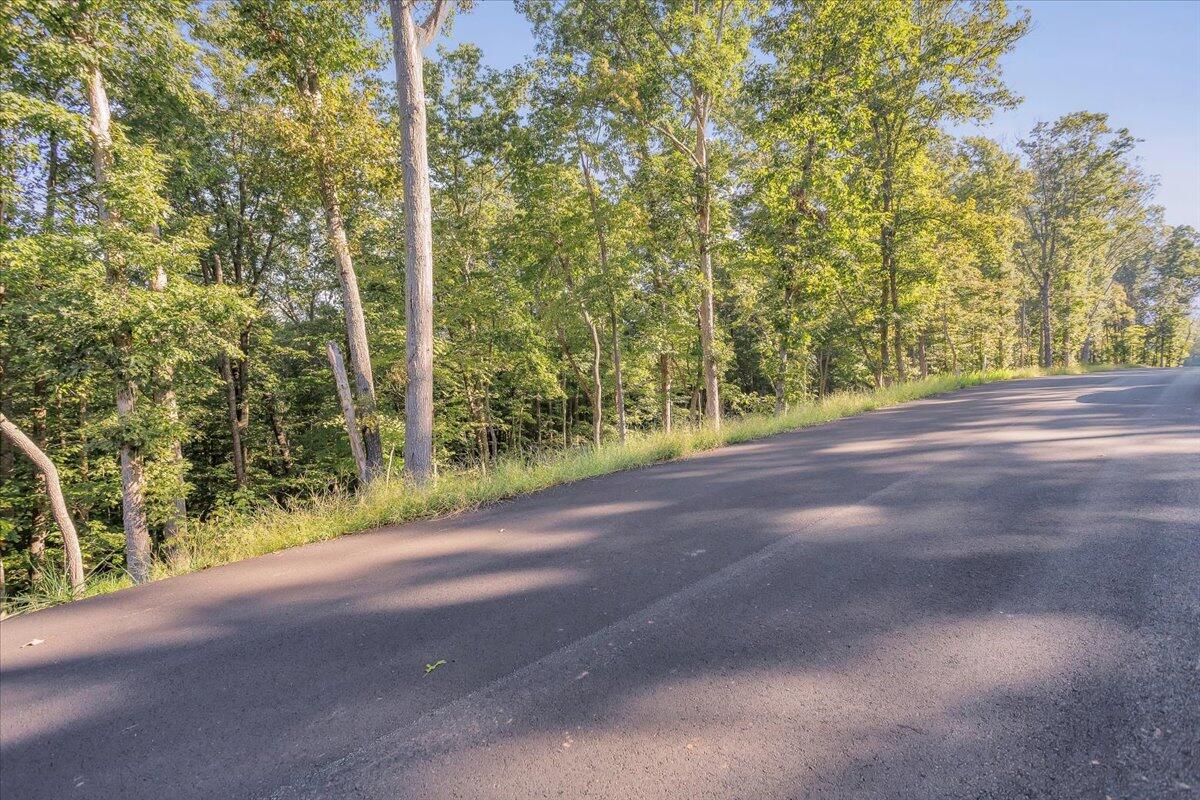 Lot 65 Ella Maria CT