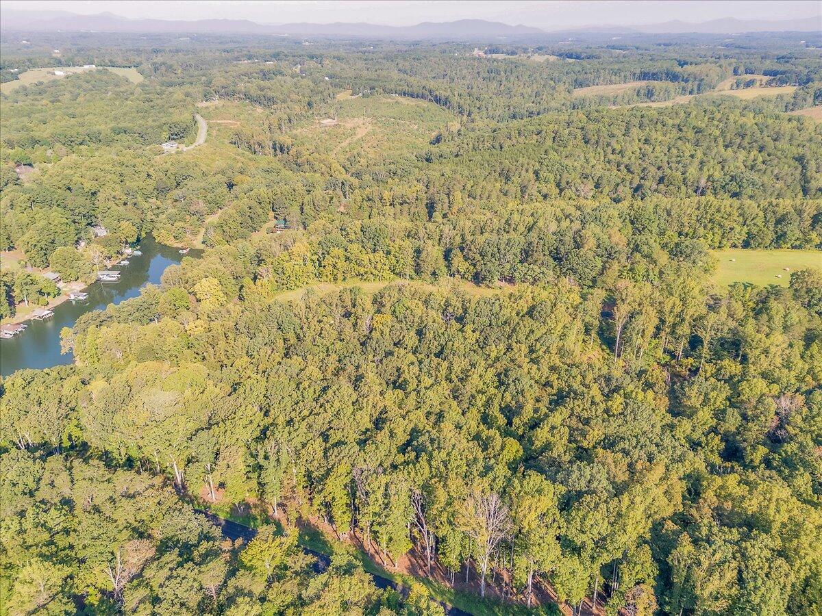 Lot 65 Ella Maria CT