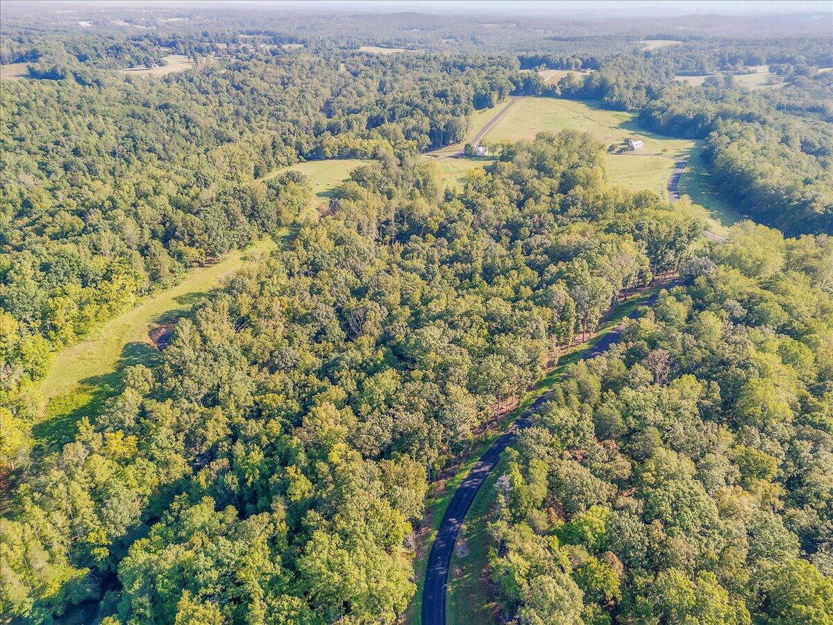 Lot 65 Ella Maria CT