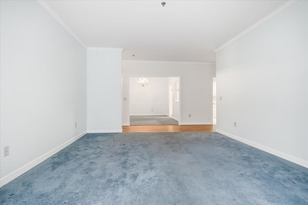 3025 McVitty Forest DR