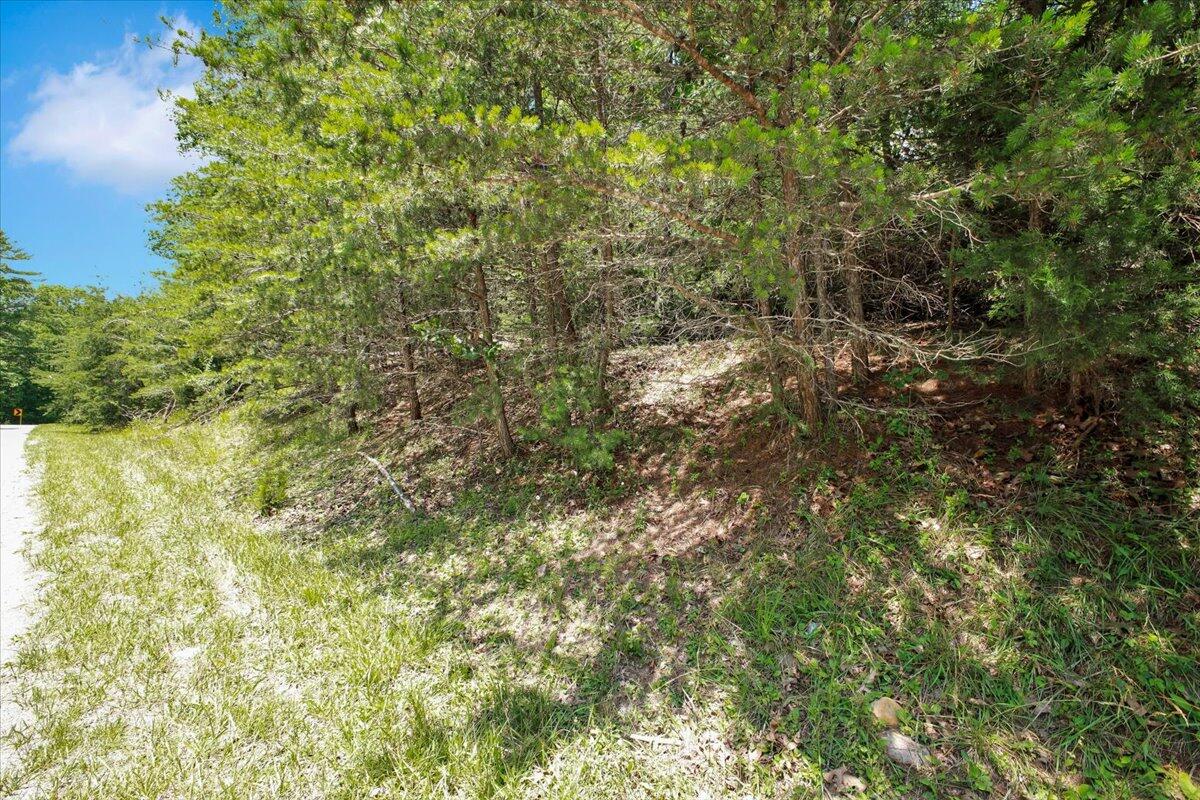 0 Coal Bank Hollow RD