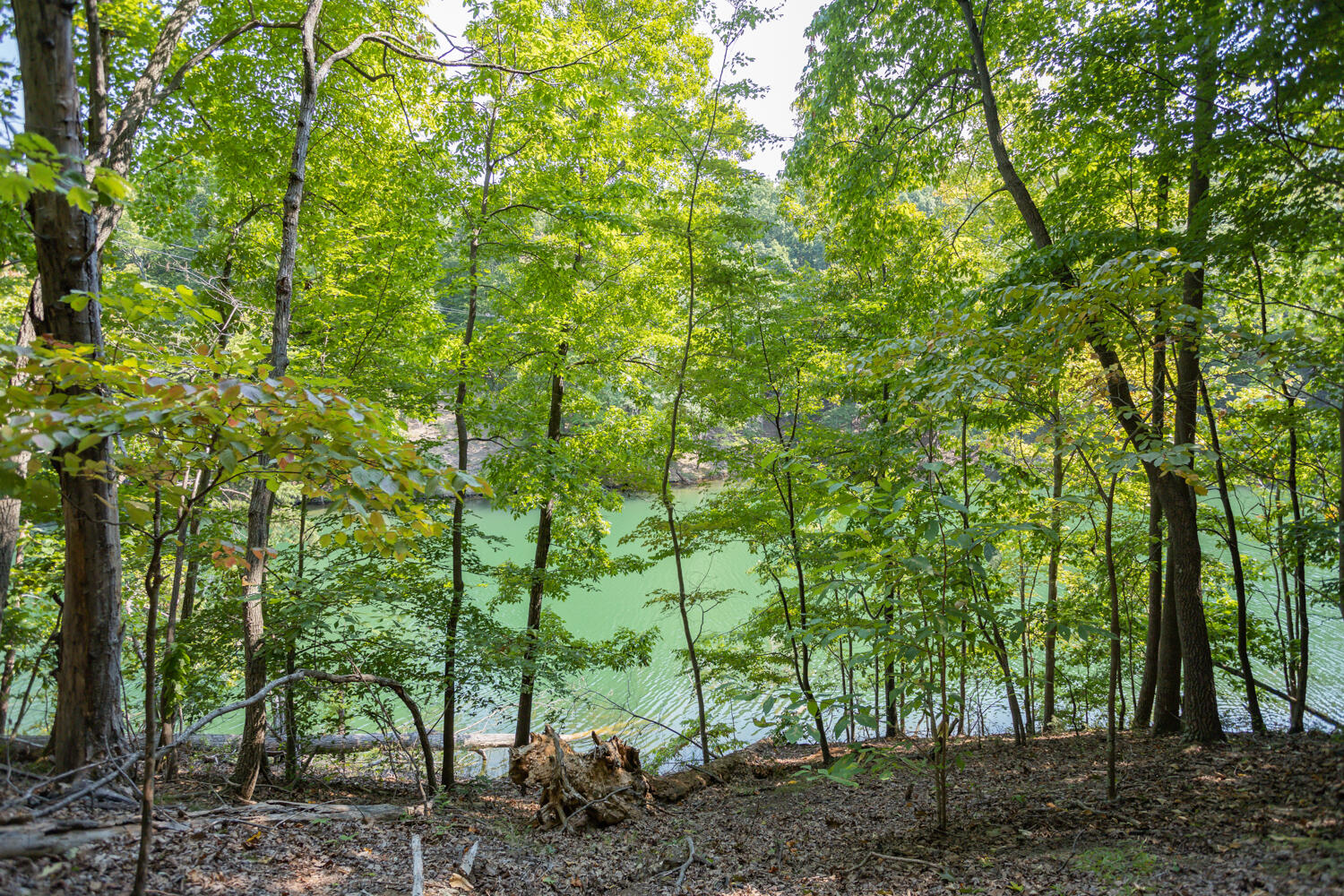 Lot 1 Sweetwater Bay DR