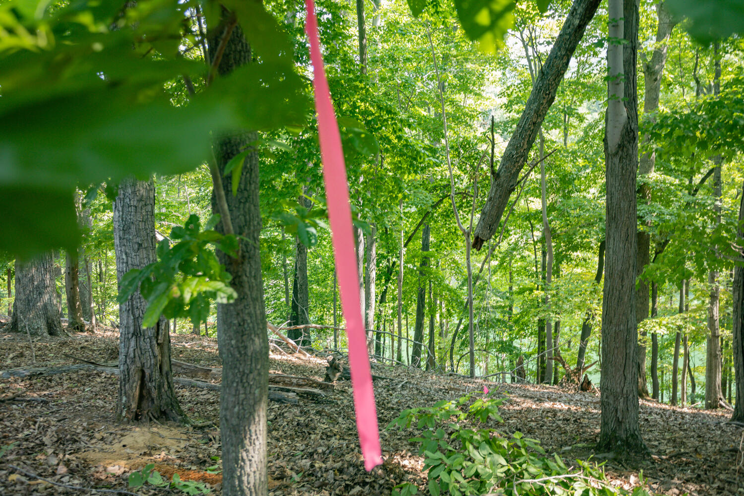 Lot 1 Sweetwater Bay DR