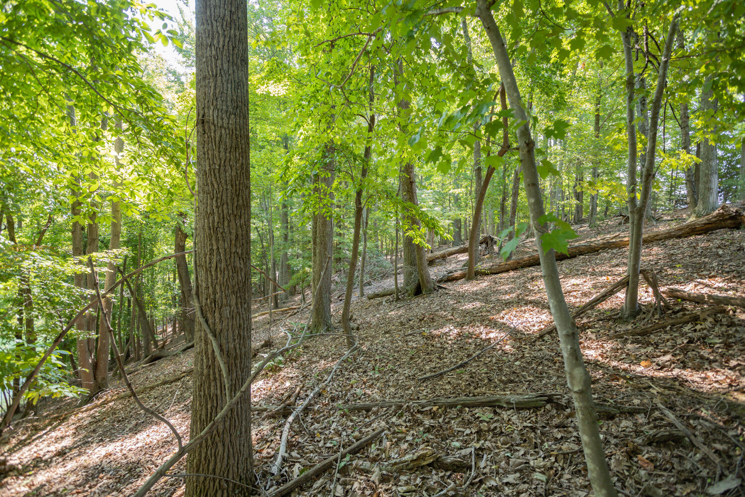 Lot 1 Sweetwater Bay DR