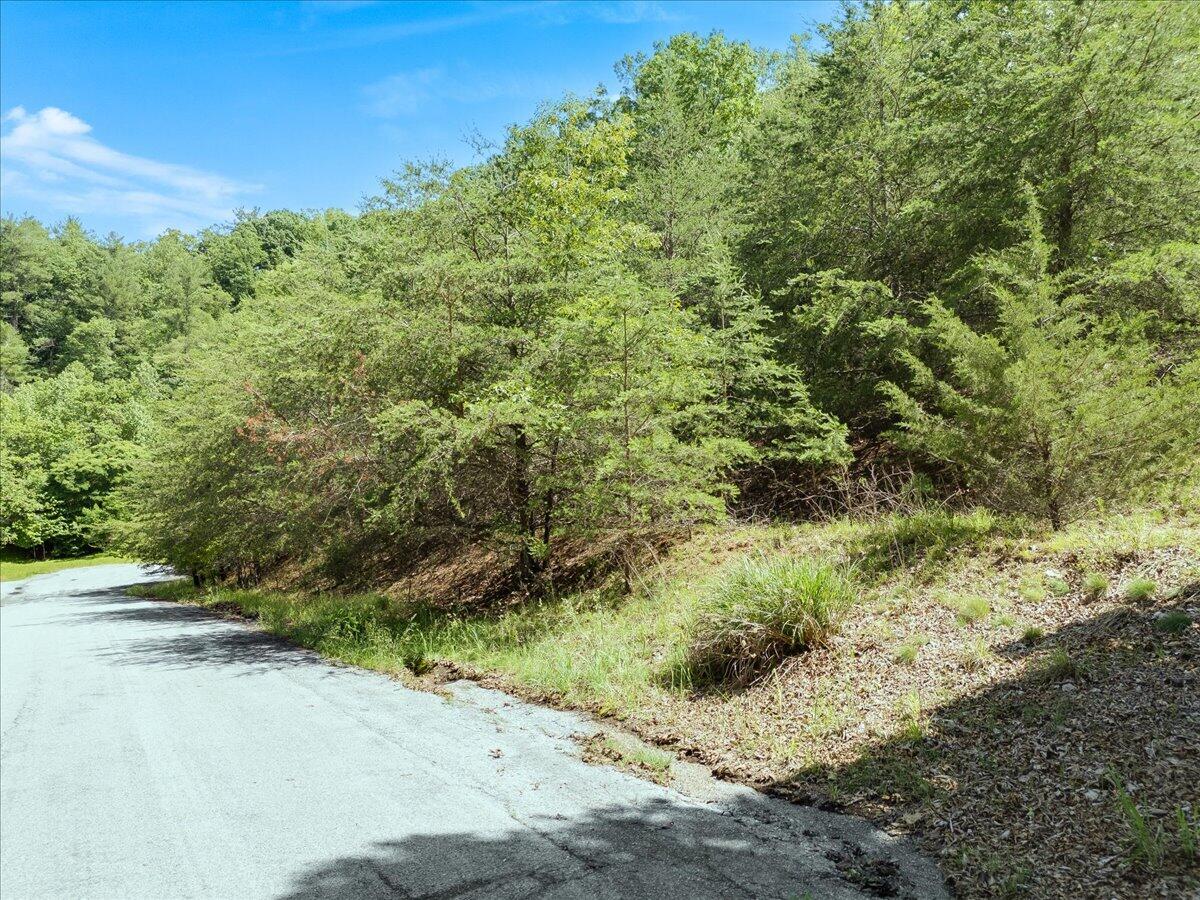 Lot123&124 Dixon DR
