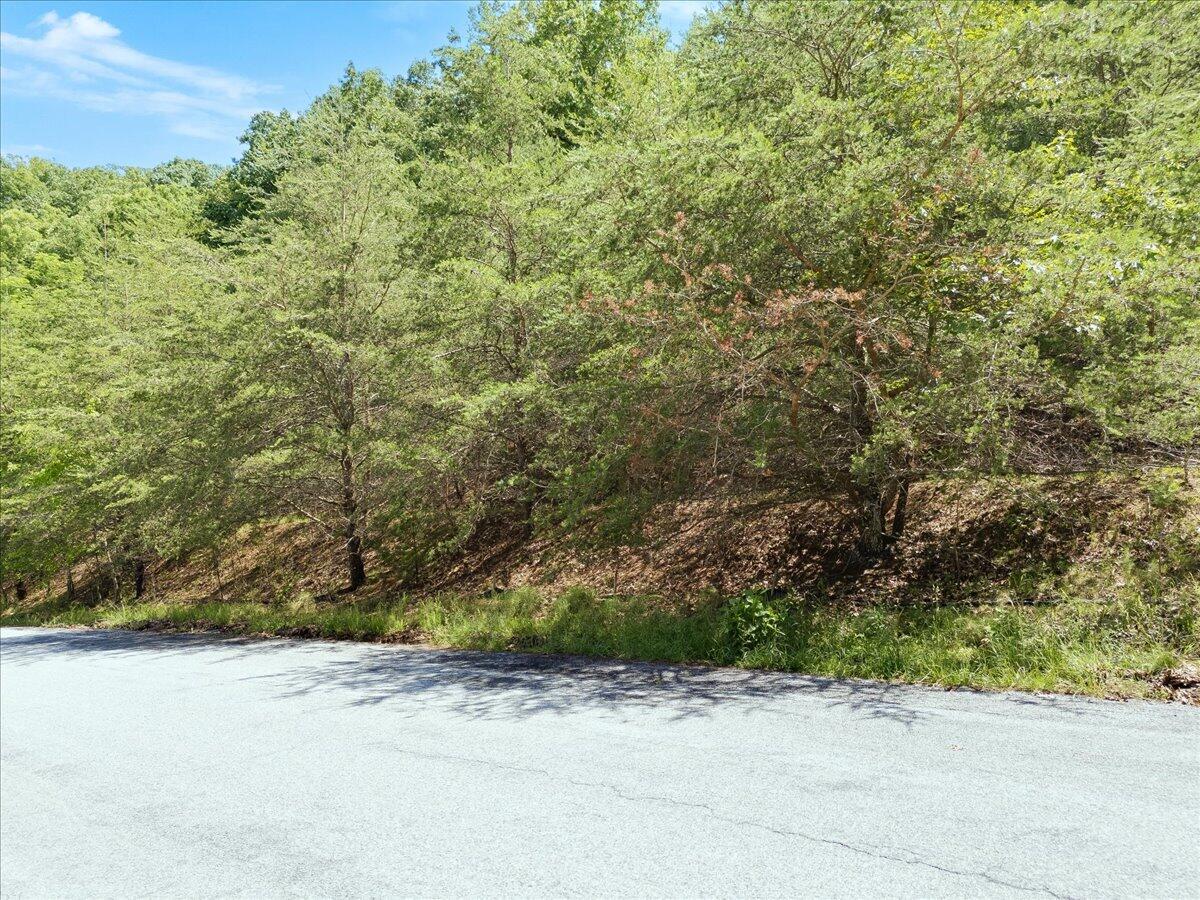 Lot123&124 Dixon DR