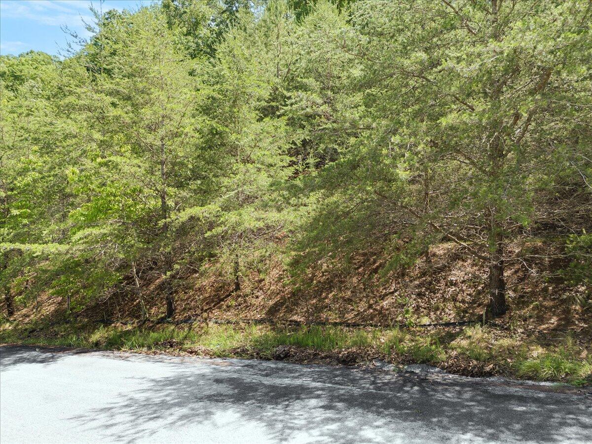 Lot123&124 Dixon DR